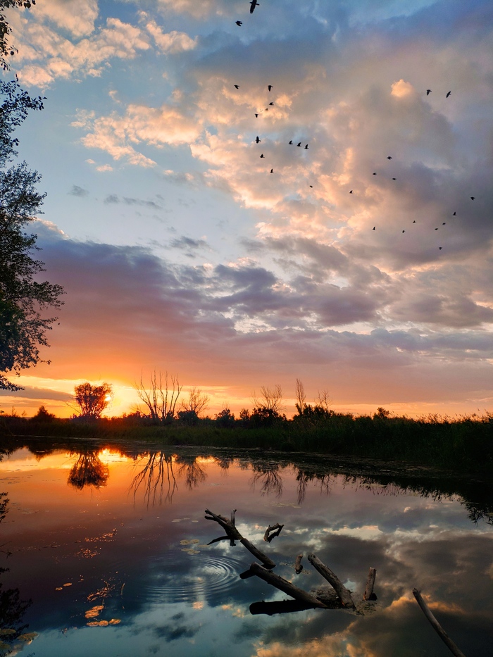 Тихий пятничный вечер