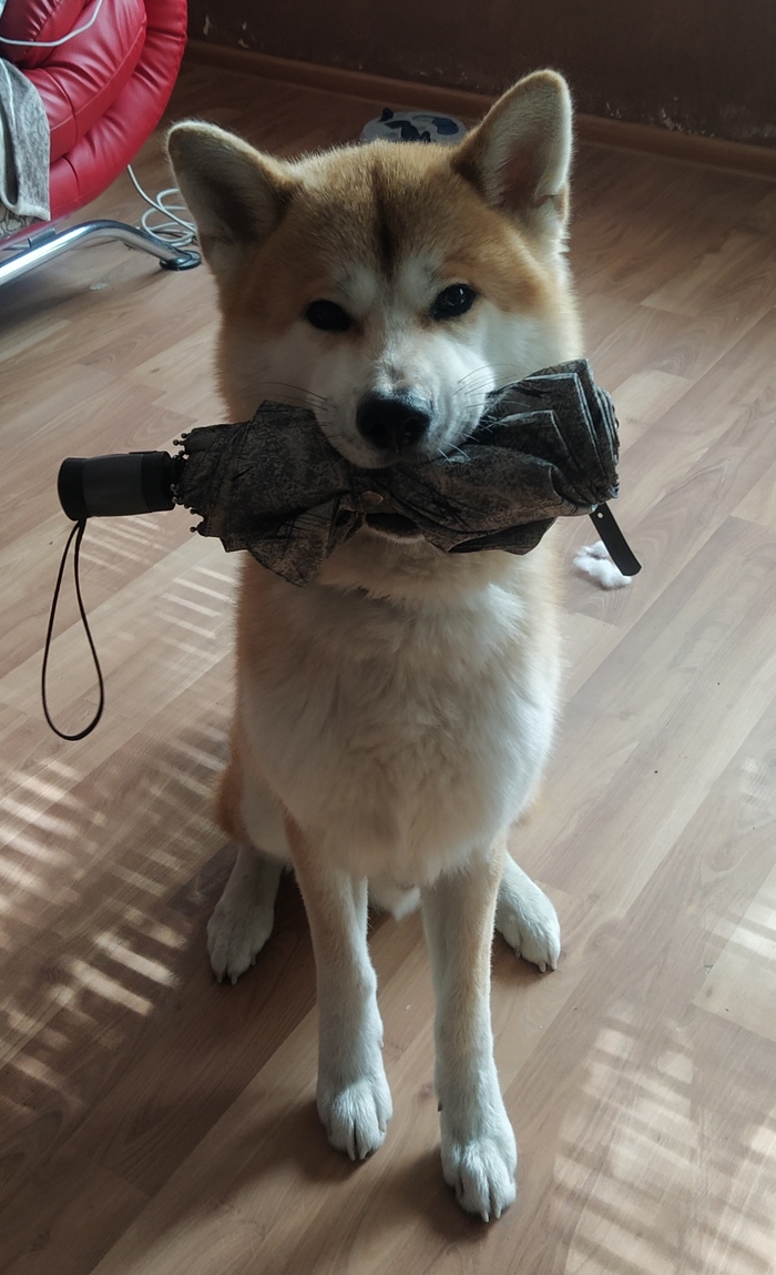 ��������, � ��������!