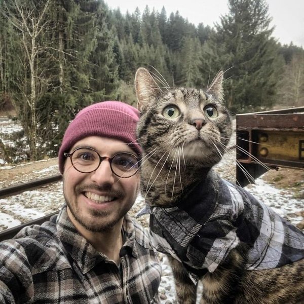 Кот-путешественник | Пикабу