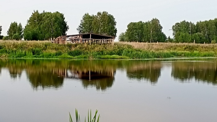 в каком городе ешкин кот. Смотреть фото в каком городе ешкин кот. Смотреть картинку в каком городе ешкин кот. Картинка про в каком городе ешкин кот. Фото в каком городе ешкин кот