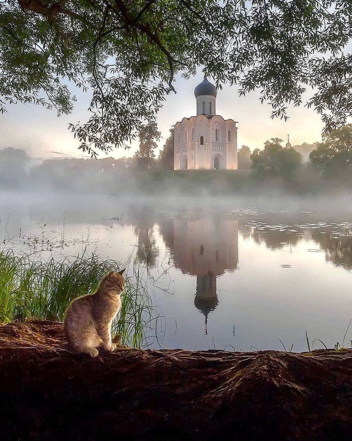 Хозяин Покрова на Нерли