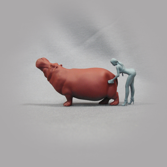 Купание красного бегемота