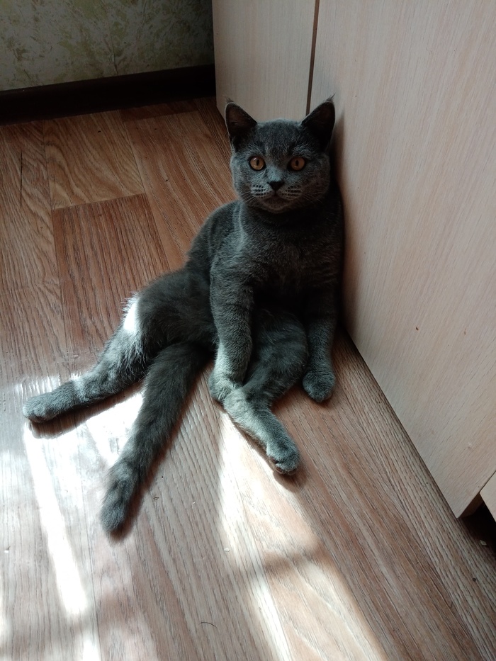 ��� �����