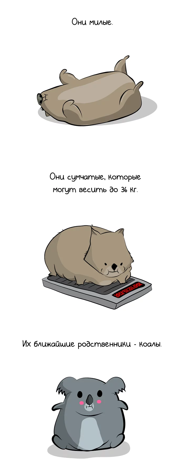 ������� �������, �������, ������� ���, The Oatmeal, �������, ����������