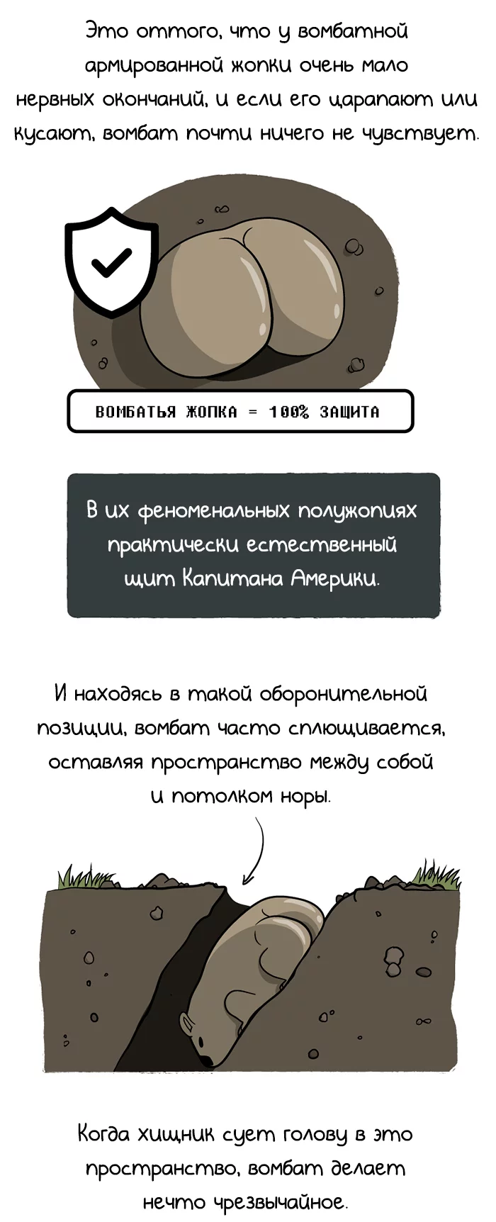 ������� �������, �������, ������� ���, The Oatmeal, �������, ����������