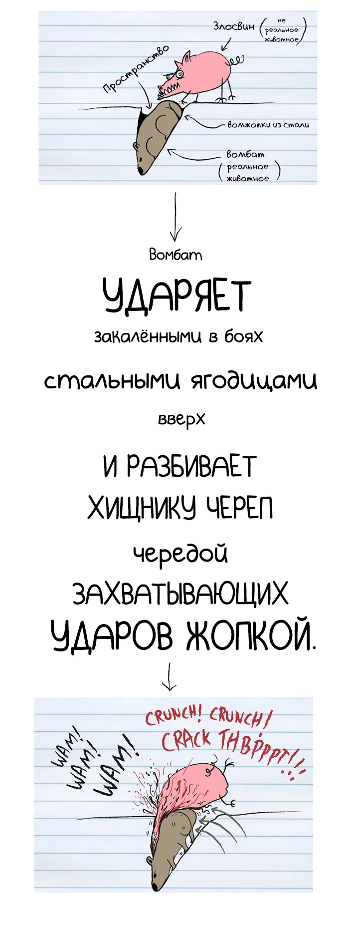 ������� �������, �������, ������� ���, The Oatmeal, �������, ����������