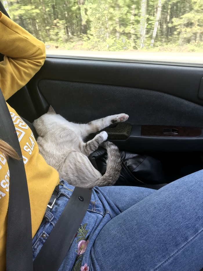   ,       , , , , 