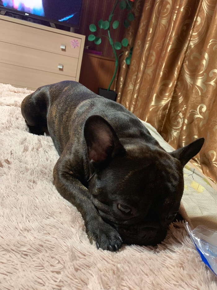 ��� ��������������� ��������� ������?