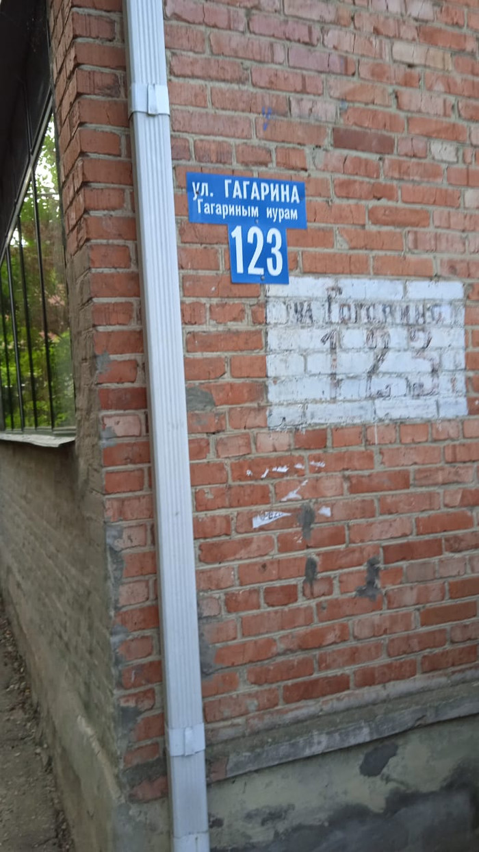 Гагарин и птички