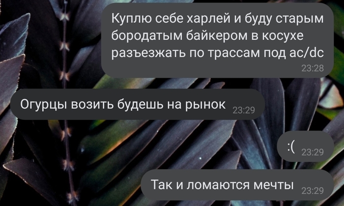 Этот парень был из тех...