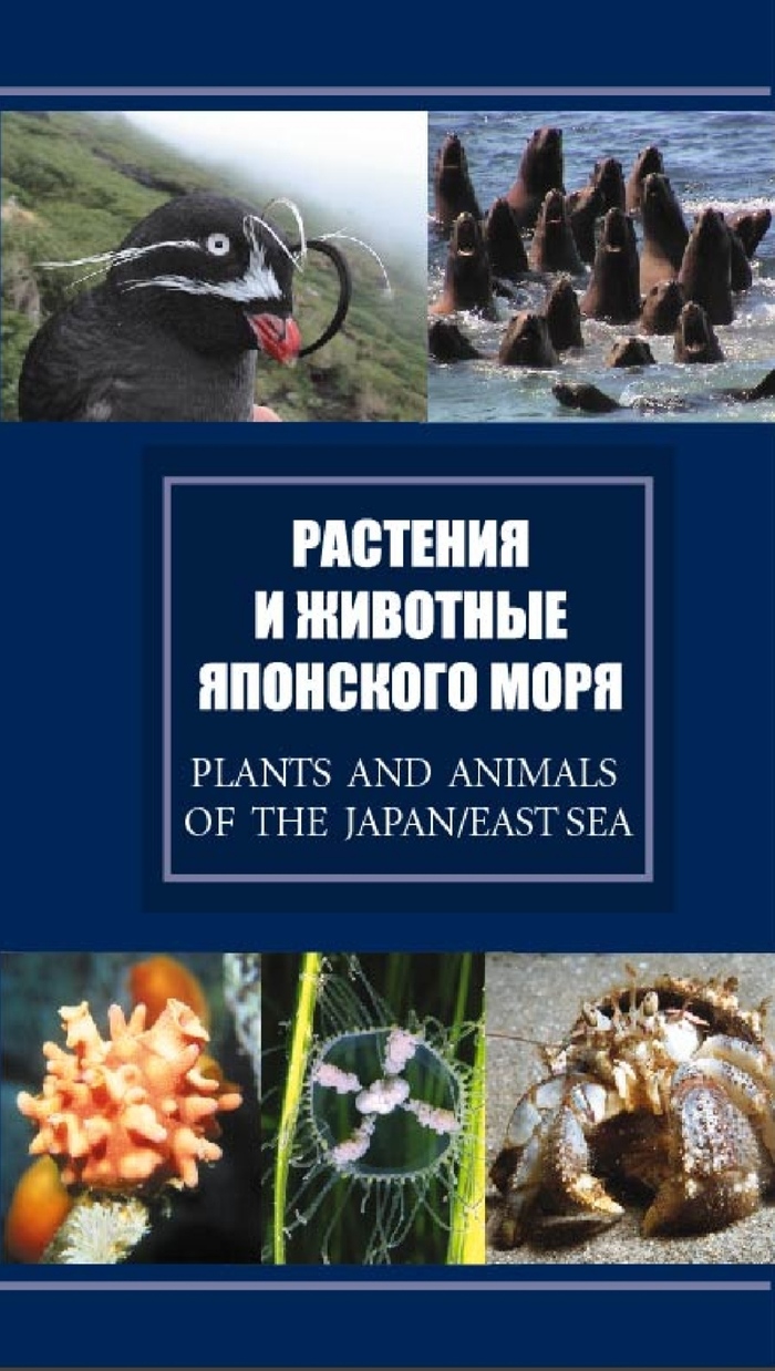 Слепой против бешеного что за книга. Смотреть фото Слепой против бешеного что за книга. Смотреть картинку Слепой против бешеного что за книга. Картинка про Слепой против бешеного что за книга. Фото Слепой против бешеного что за книга