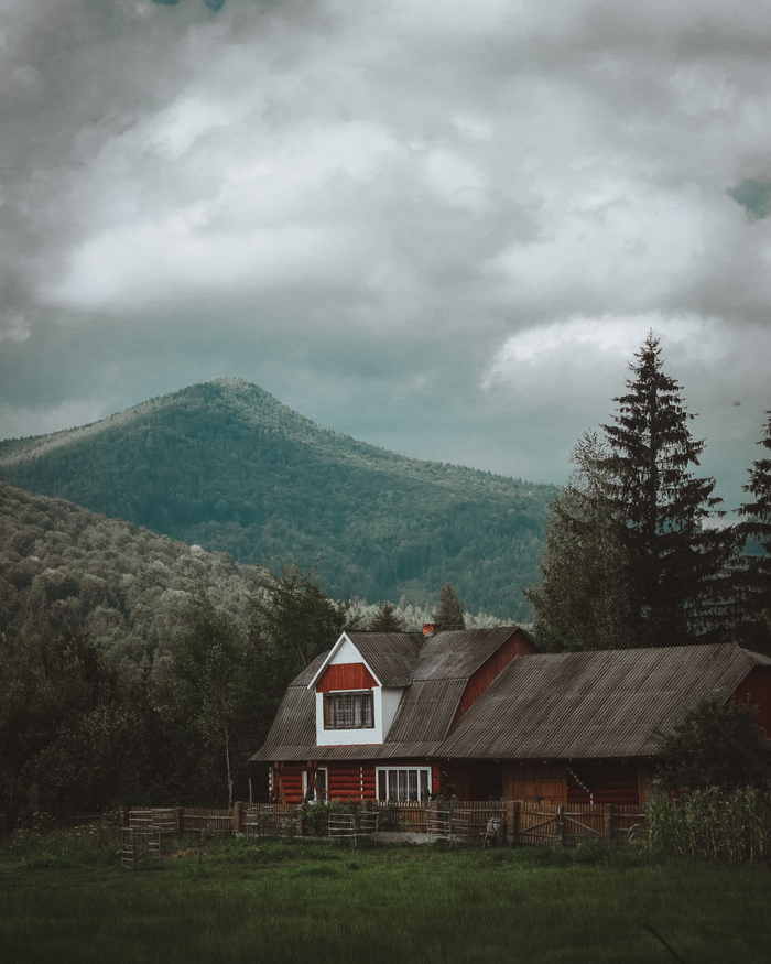 Этот вайб...