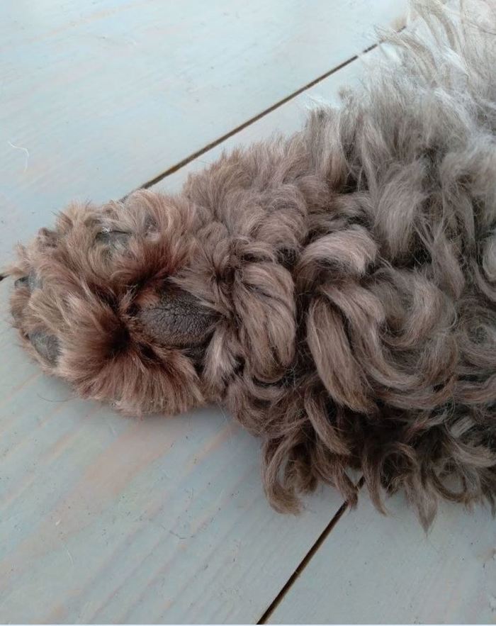 ������� ���� ������