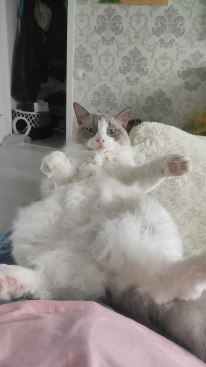 ������� ��������