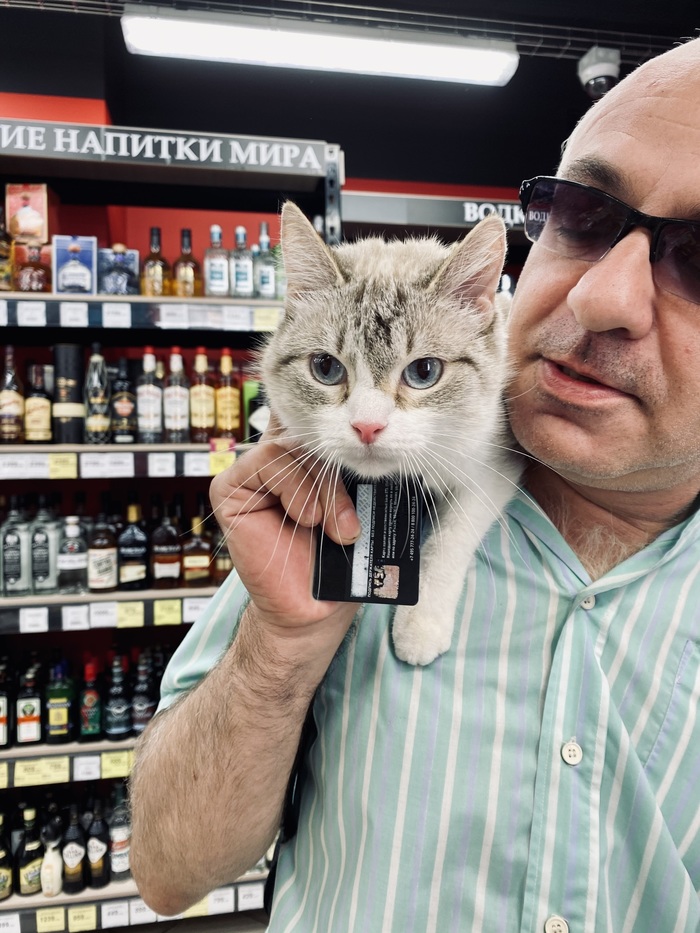 ����� ������ ������