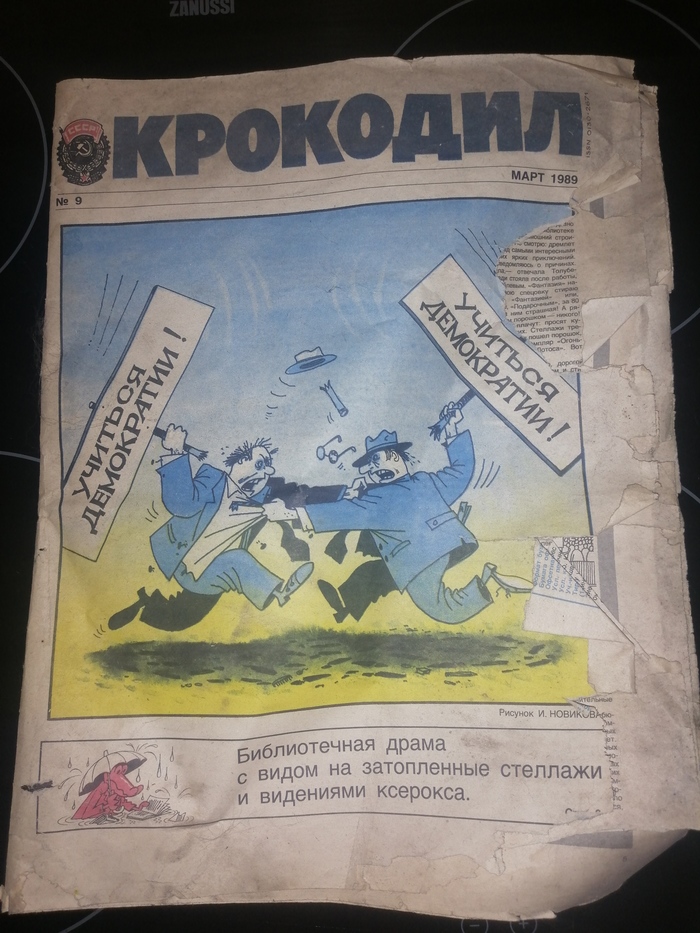  1989   , 1989, 