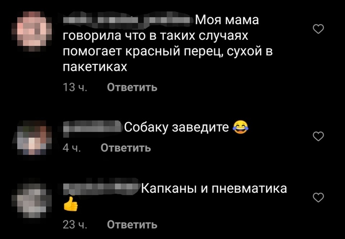Как я теряю веру в людей Животные, Сообщество, Кот, Вера в людей, Злость, Двойные стандарты, Длиннопост
