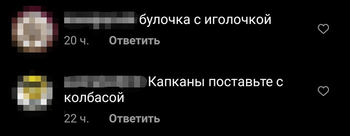Как я теряю веру в людей Животные, Сообщество, Кот, Вера в людей, Злость, Двойные стандарты, Длиннопост