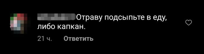 Как я теряю веру в людей Животные, Сообщество, Кот, Вера в людей, Злость, Двойные стандарты, Длиннопост