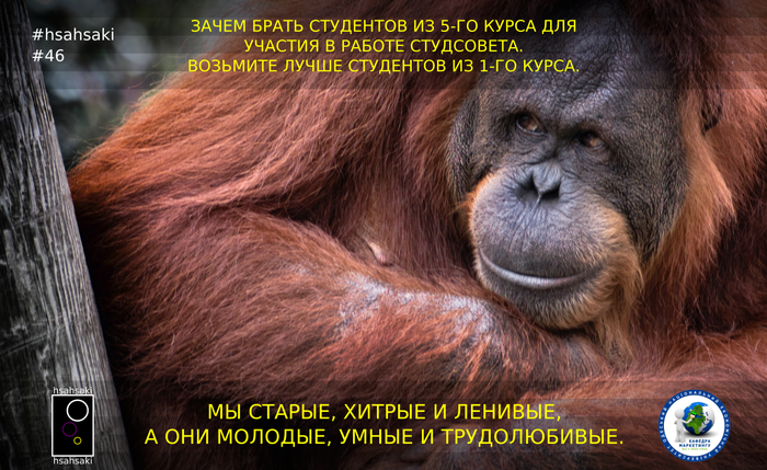 Студсовету нужны старые, хитрые и ленивые, а не молодые, умные и трудолюбивые студенты