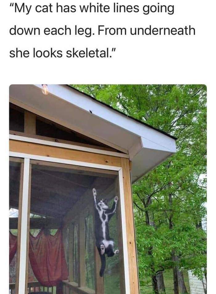    , 