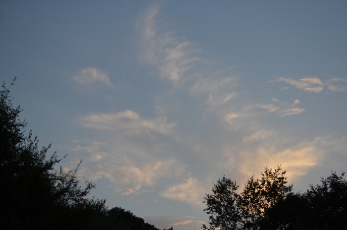 ����� ����� ��� ������ ������ ������������