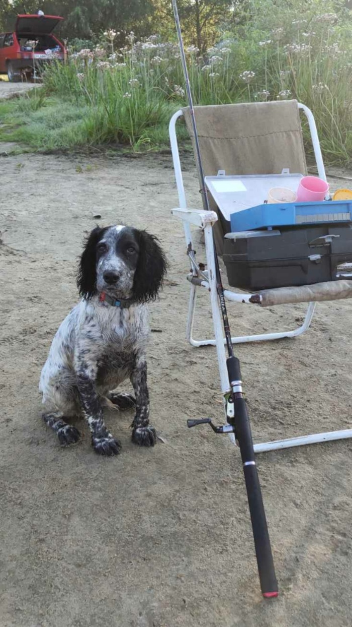 ������ � �� �������