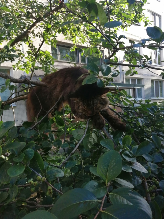 Кто друга потерял?