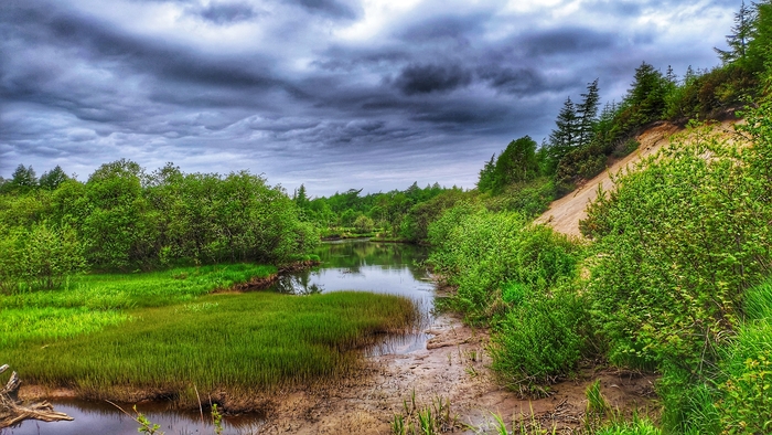 ���� �� ��������