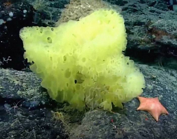 ����� ��� �������� � ������