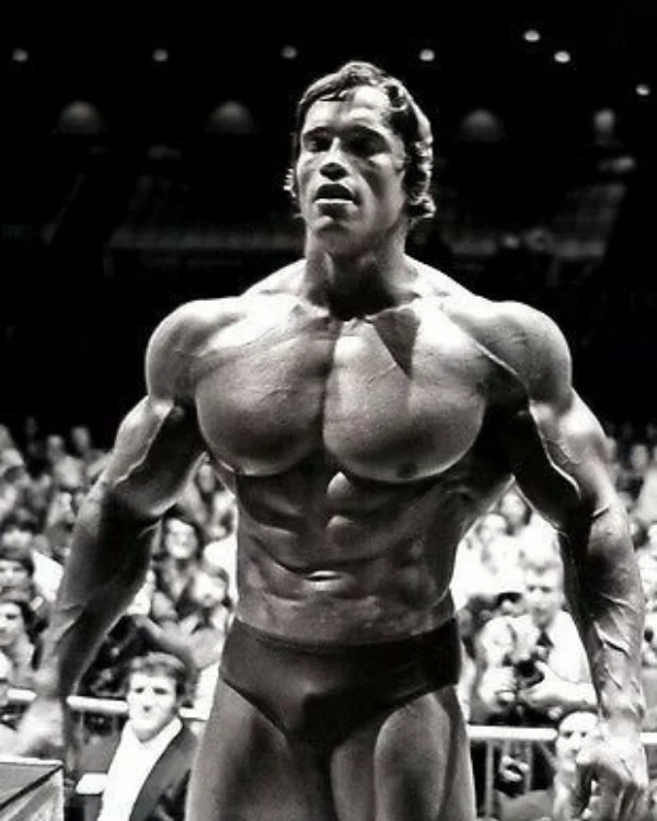 Арнольду Шварценеггеру - 74 года! Вспомним несколько его лучших фильмов ( на мой взгляд ) Актеры и актрисы, Голливуд, Арнольд Шварценеггер, День рождения, Фильмы, Яндекс Дзен, Длиннопост