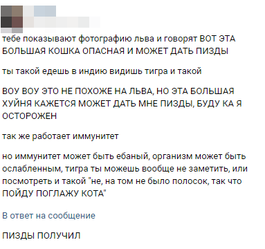 Пожалуй, лучшее объяснение работы имуннитета, которое я видел