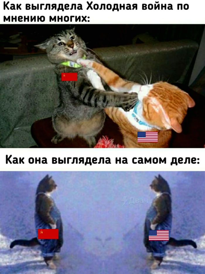   ,  , , ,   , , 
