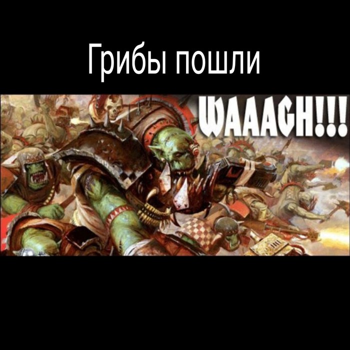 Ответ на пост «Последние известия»