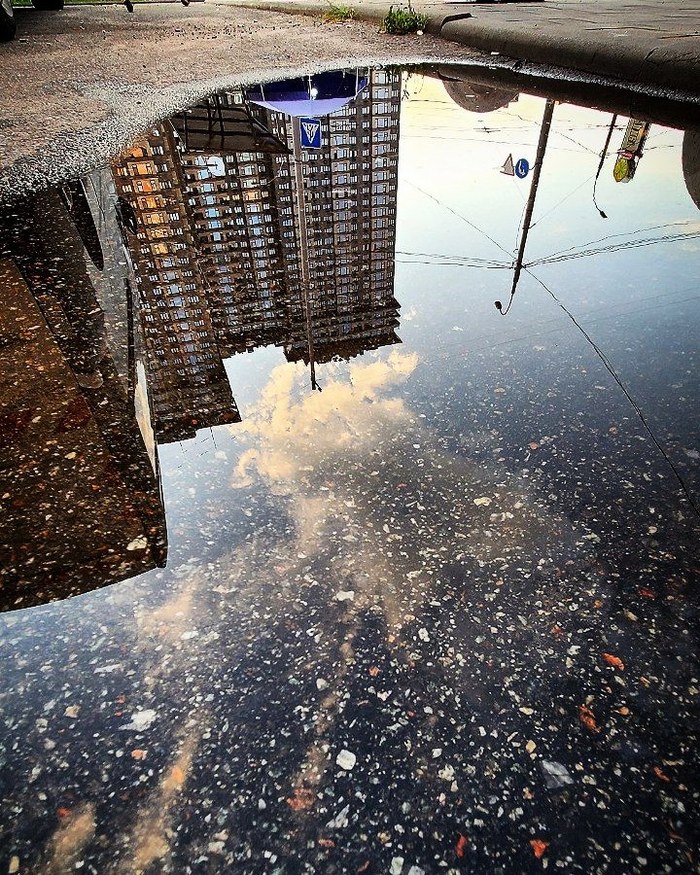 ������ ��� ������