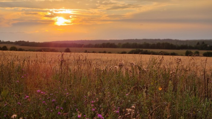 ��� ����� �����