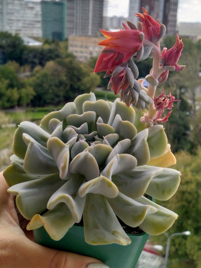   , , , , ,  , , , 