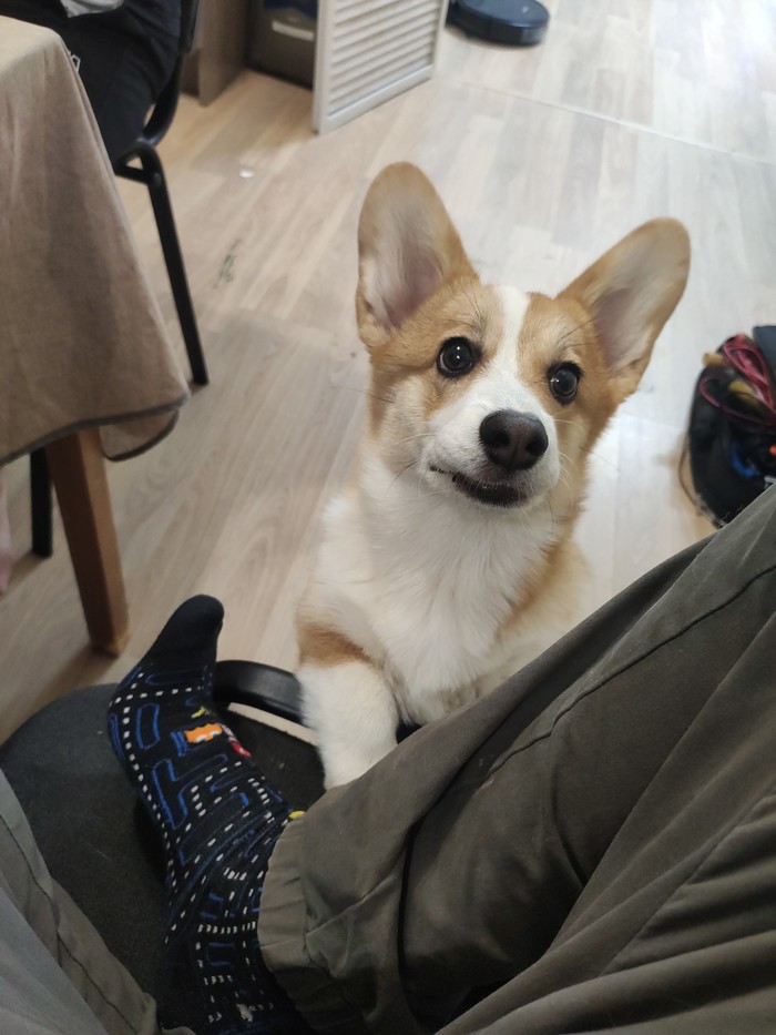 аниме фестиваль мечты персонажи. 1627800683154732109. аниме фестиваль мечты персонажи фото. аниме фестиваль мечты персонажи-1627800683154732109. картинка аниме фестиваль мечты персонажи. картинка 1627800683154732109. Любимые ожившие герои? Комиксы и музон? Куча игр и олдскульные приставки? Вкусняшки и фрики? Легко! Забудем, друзья, про бренные будни взрослых и побежим навстречу мультикам и игрушкам. И для этого даже совсем необязательно ехать на Комик-Кон в СанДиего. аниме фестиваль мечты персонажи. 1627800683154732109. аниме фестиваль мечты персонажи фото. аниме фестиваль мечты персонажи-1627800683154732109. картинка аниме фестиваль мечты персонажи. картинка 1627800683154732109. Любимые ожившие герои? Комиксы и музон? Куча игр и олдскульные приставки? Вкусняшки и фрики? Легко! Забудем, друзья, про бренные будни взрослых и побежим навстречу мультикам и игрушкам. И для этого даже совсем необязательно ехать на Комик-Кон в СанДиего.