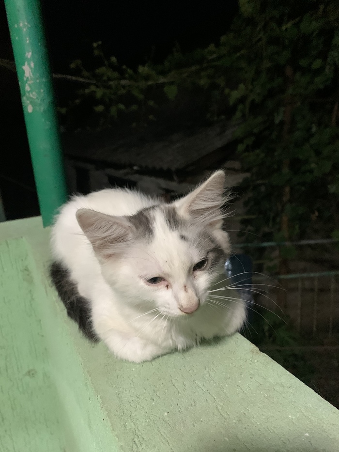 ����� ���� ����� ��� ������, �� �� ��� ����� ���� ��� �����