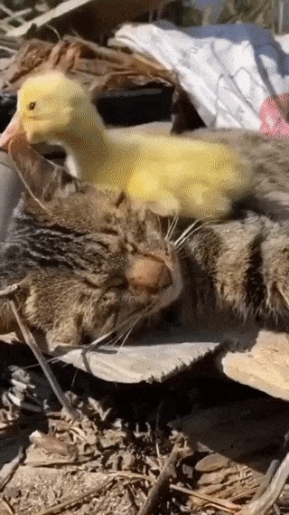  ,  ! , , , 