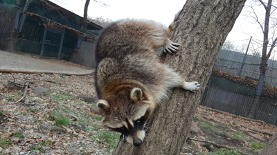 ����-�������� � ���������� ������-�����