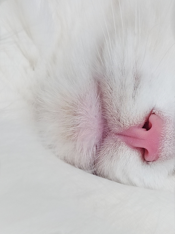 ����������� ����� �������� ������