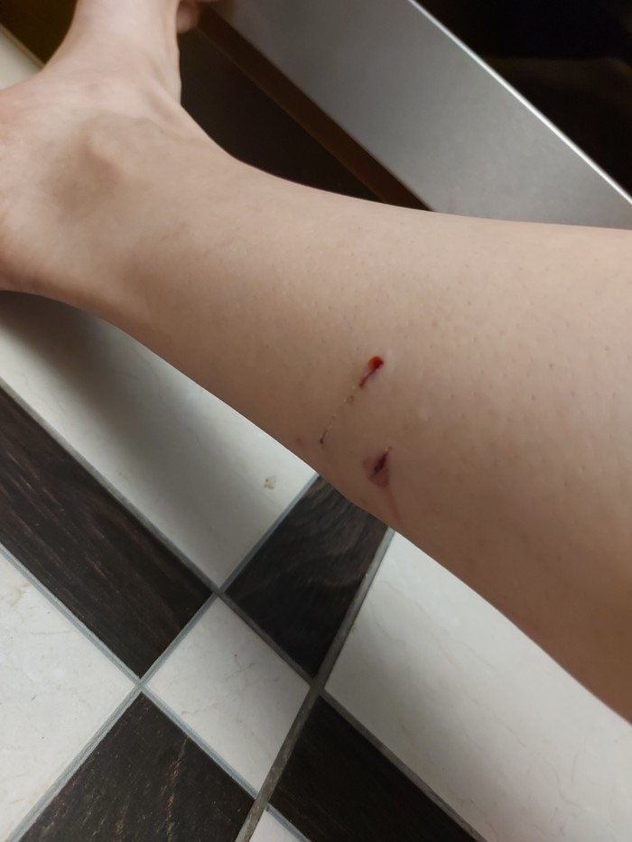 ��� ������ � ������