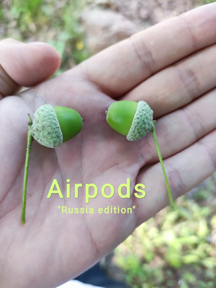 ����� �� ���� ���������