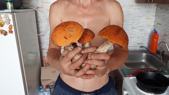 Челябинская область. Грибы