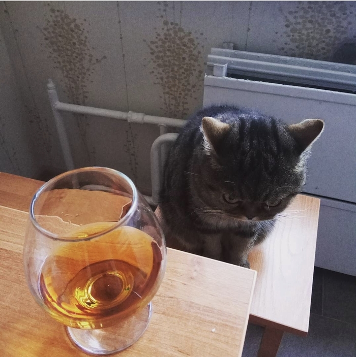 &quot;׸, ...          ...&quot;