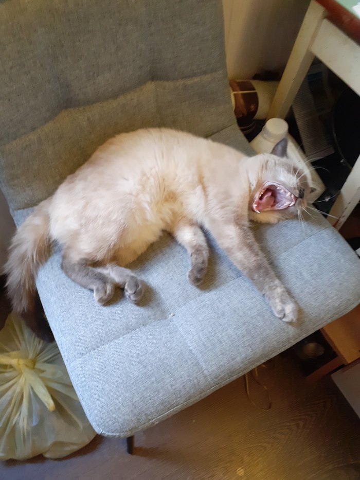 ��� �� �����?