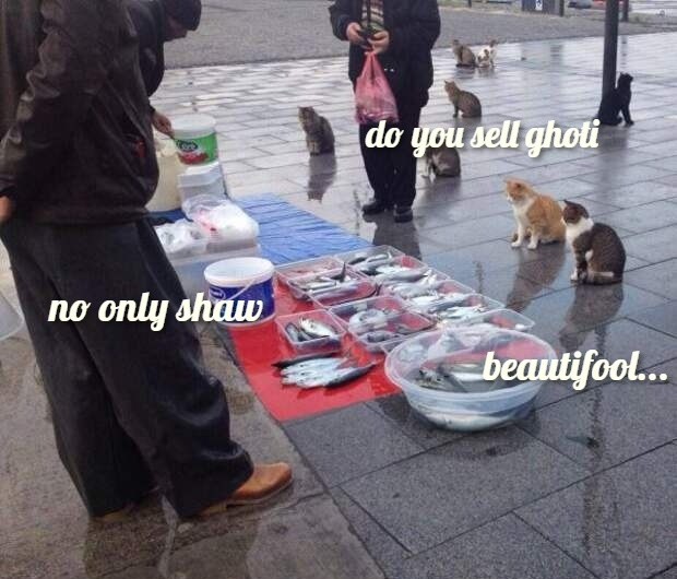 Рыбов и английская орфография