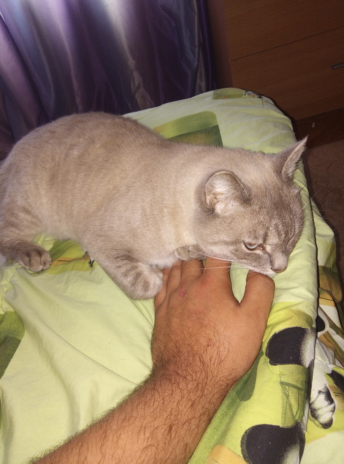 ����������� � ����� ������