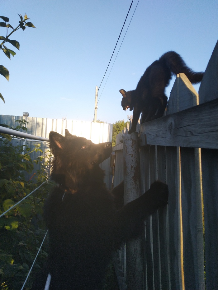 ���������� � ��������